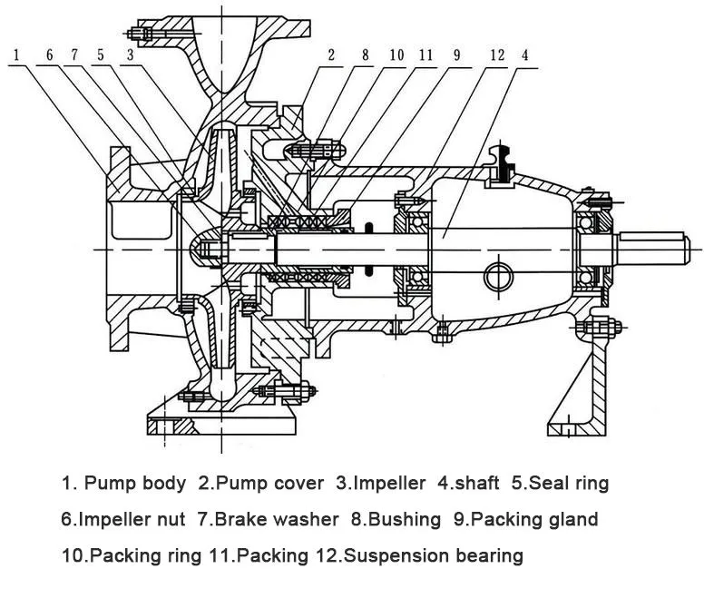 Cross-sectional view of the end-suction pump