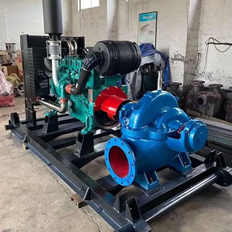 Diesel-engine-double-suction-pump