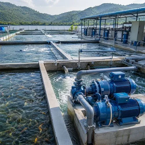 Best Pump for Fish Farms: How to Choose the Right Pump for Aquaculture Water Circulation, Drainage, and Oxygen Support
