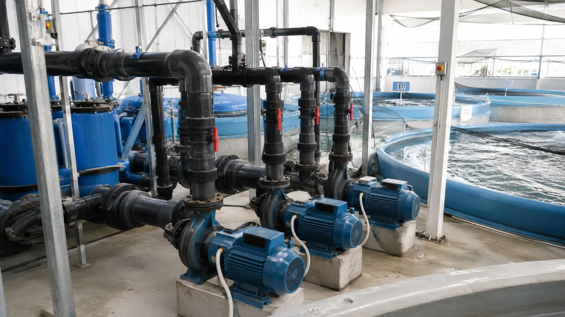 Fish farm pump system layout with circulation pump, filtration, drainage, and backup pump